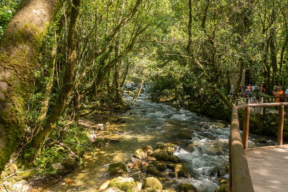 Water from the river Ljuta tumbles over moss covered rocks.