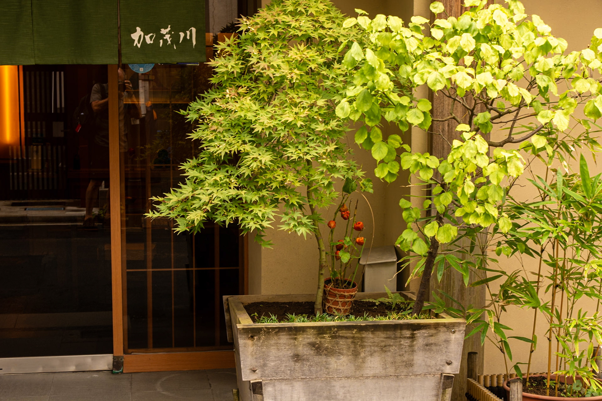 Planter boxes decorating shop entrances.