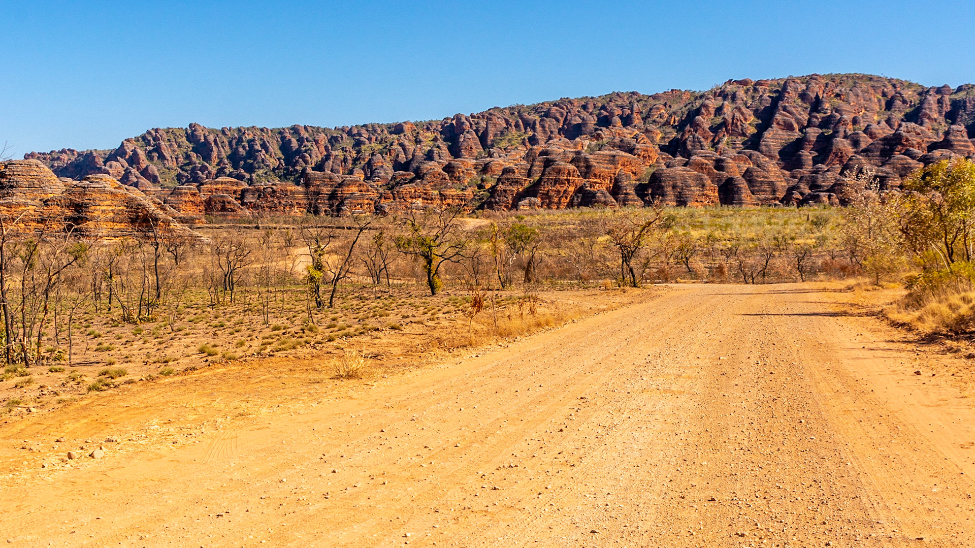 The distinctive black and orange bands of the "bee-hive" domes, synonymous with Purnululu loom in front of us.