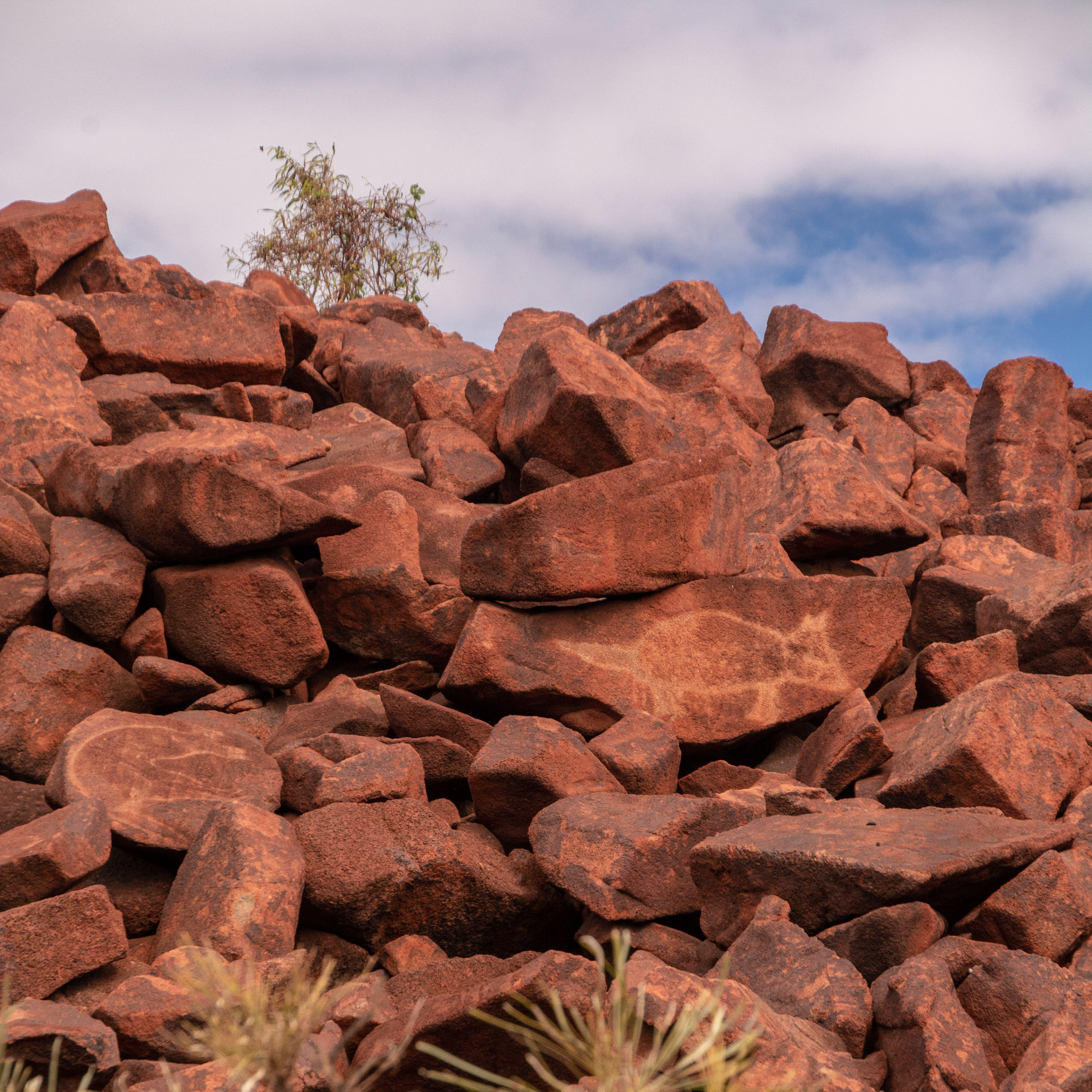 Petroglyphs created by the Yaburrara (Northern Ngarluma) people