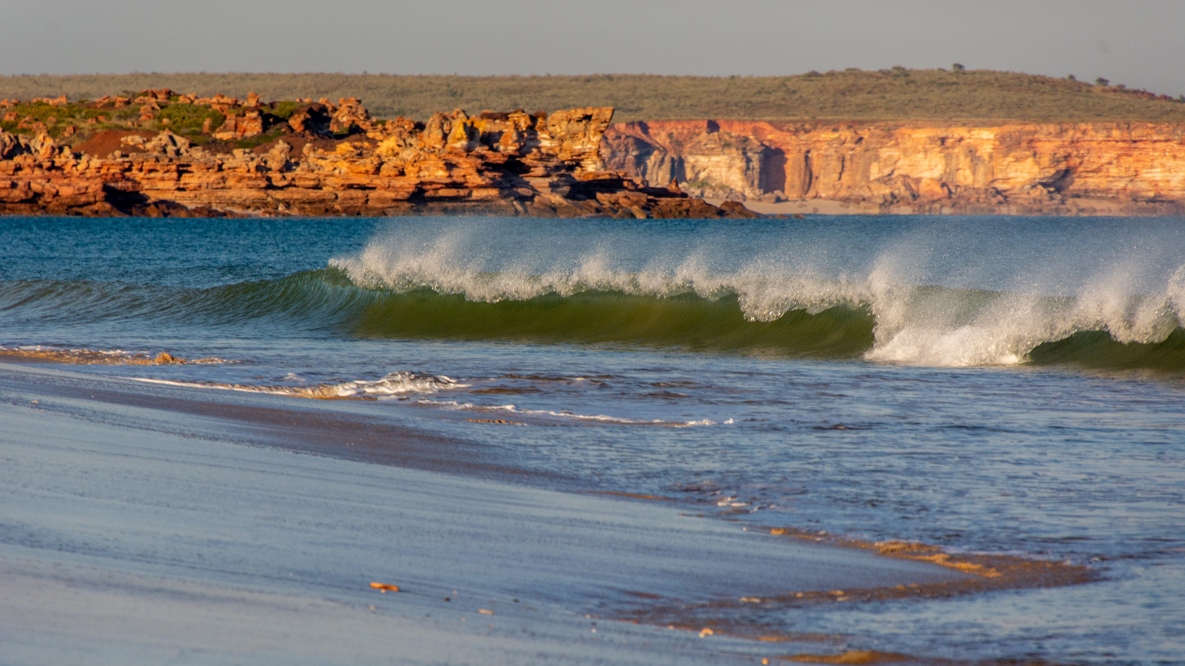 ............ morning spray