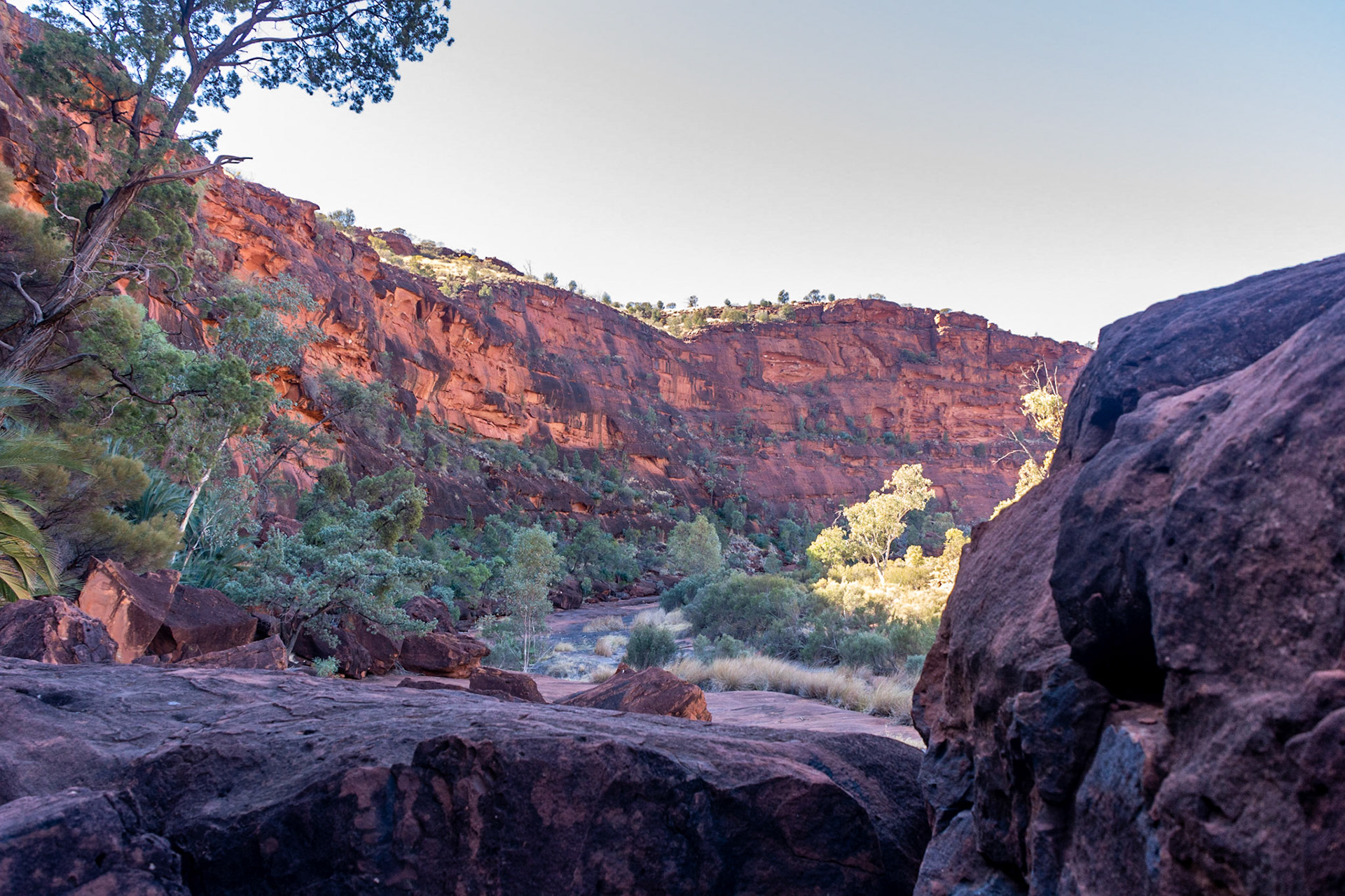 The exposed rock creek bed of Palm Valley