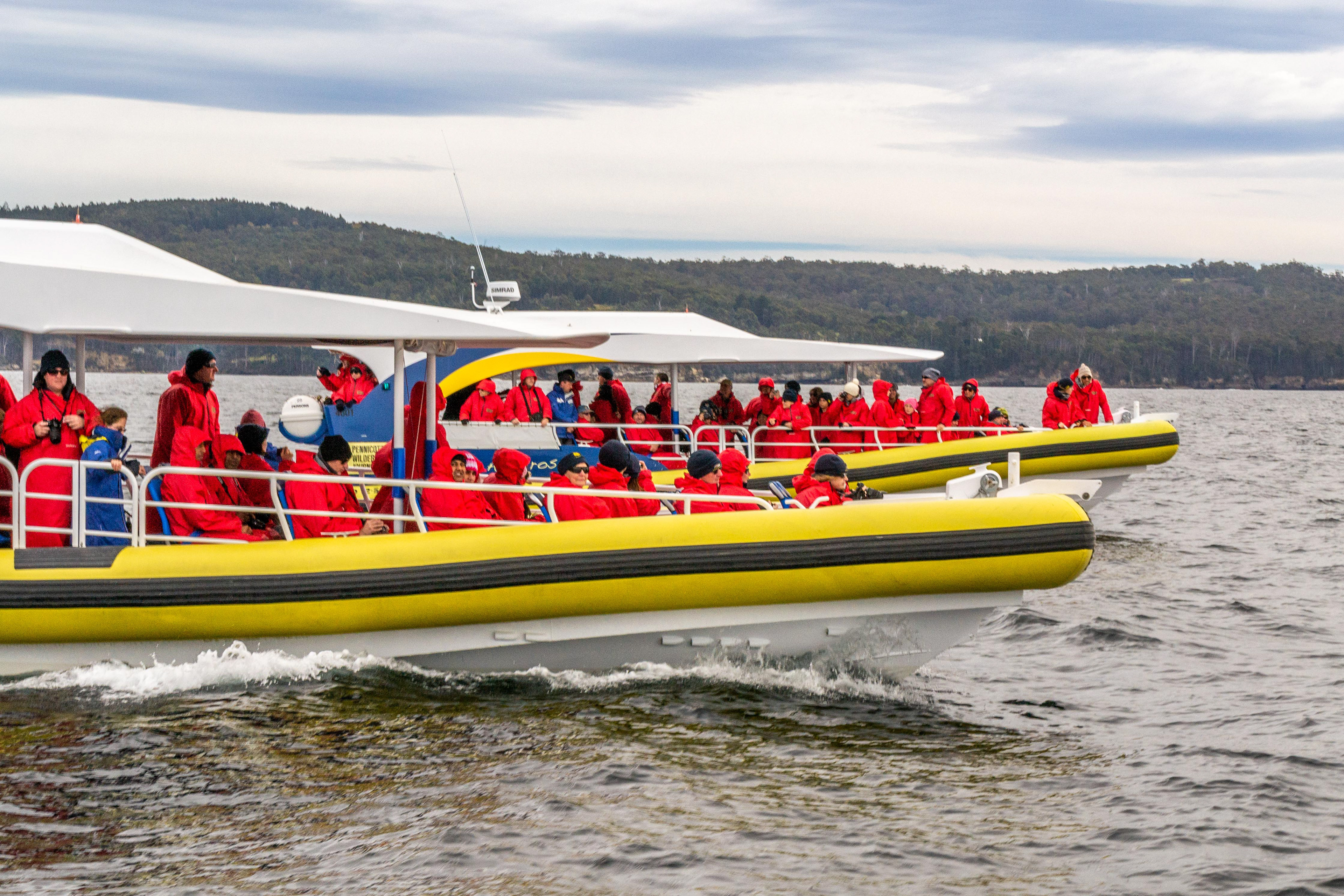 Off to explore the coastline of Bruny Island........
