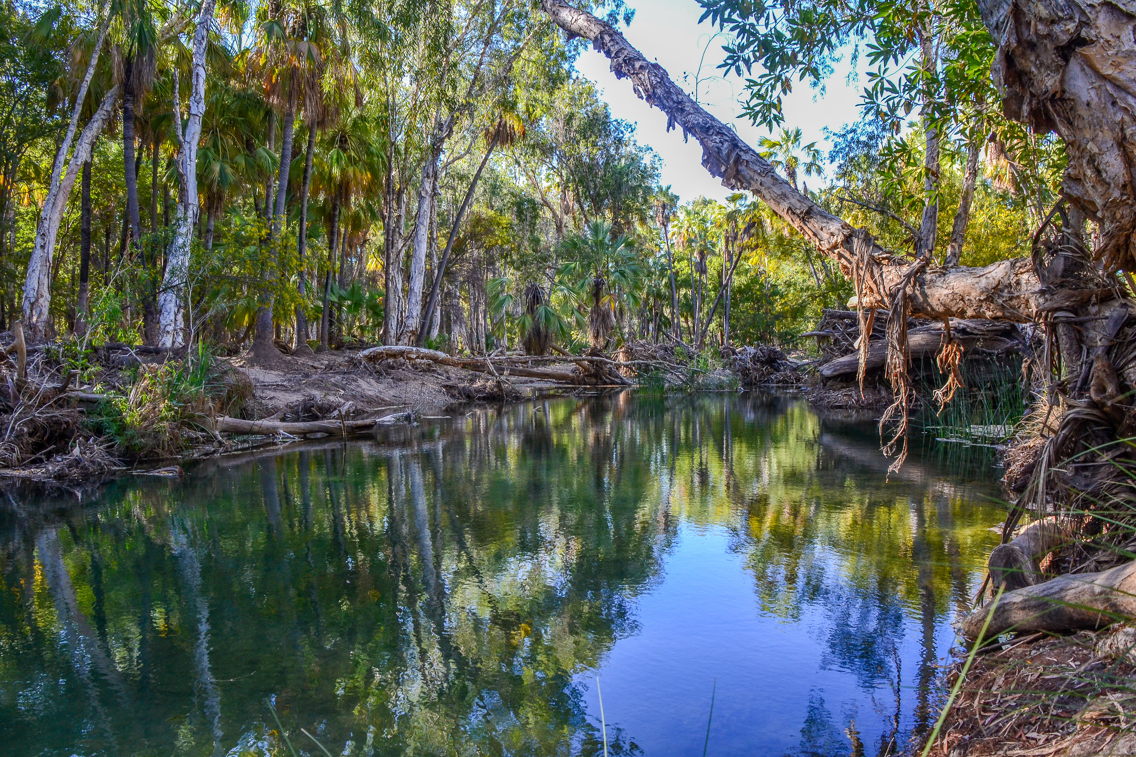 Lawn Hill Creek at Adels Grove.