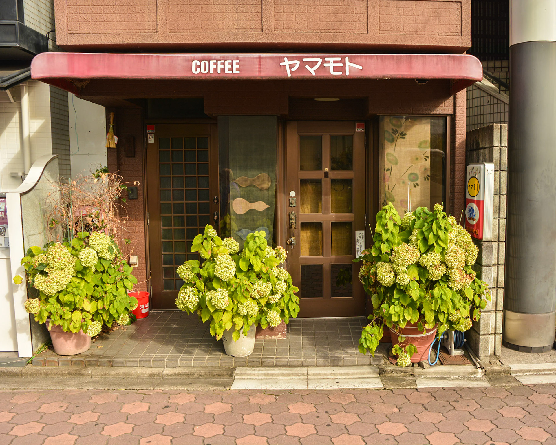 Minimalist coffee shop.