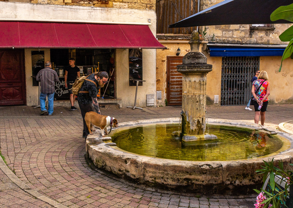 A man's best friend pauses for a drink at the fountain in Place Pelissiere.