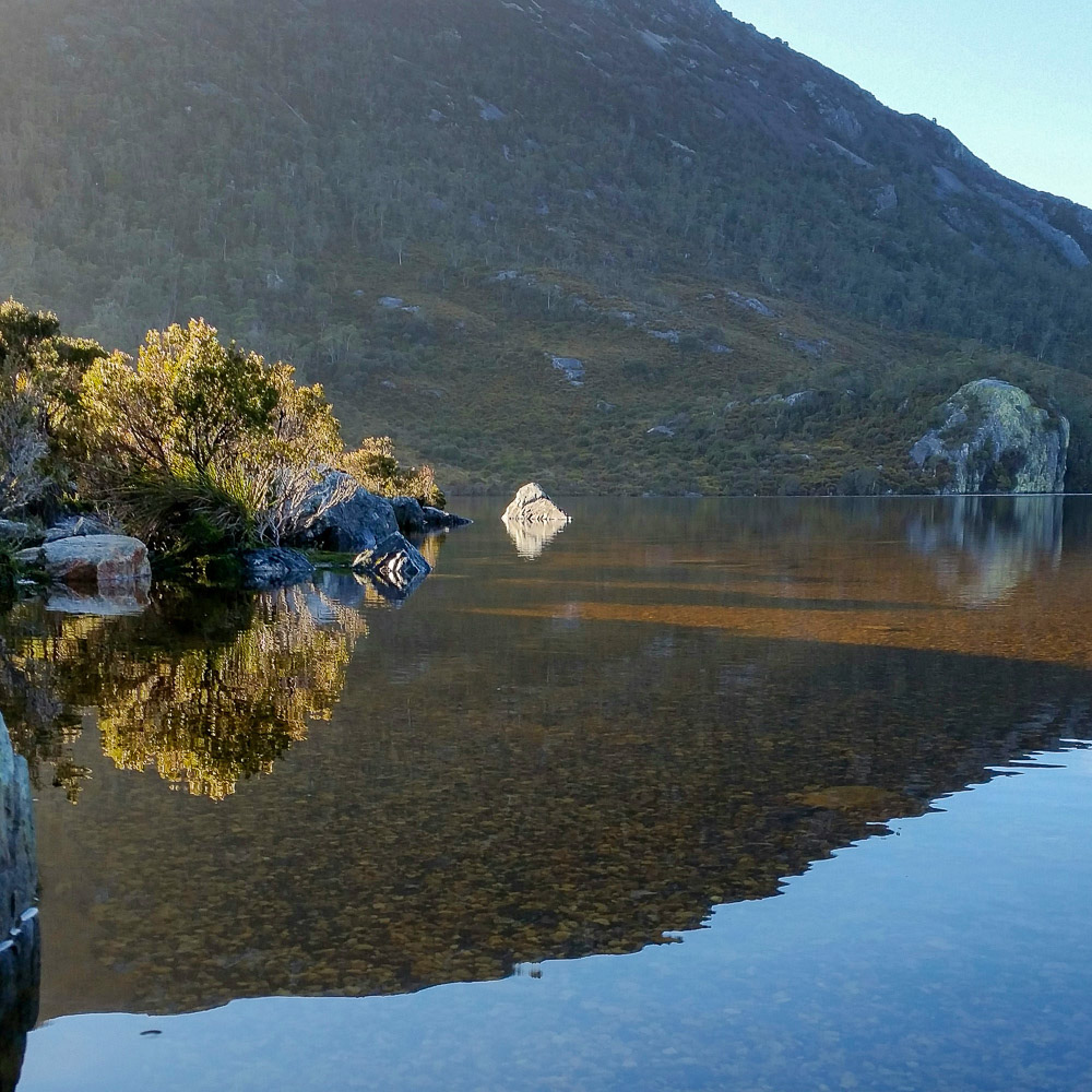 Light, shade and reflections facilitate a glimpse below the calm surface of Dove Lake.