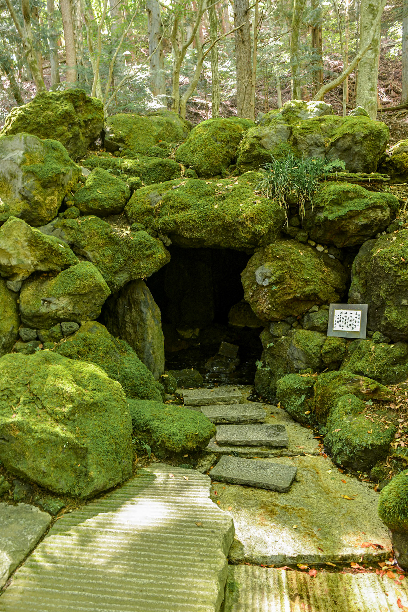 Itchikyu Kubota gardens - moss covered rocks surround the grotto entrance.