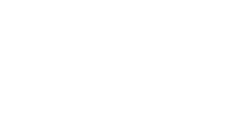 FzyFly