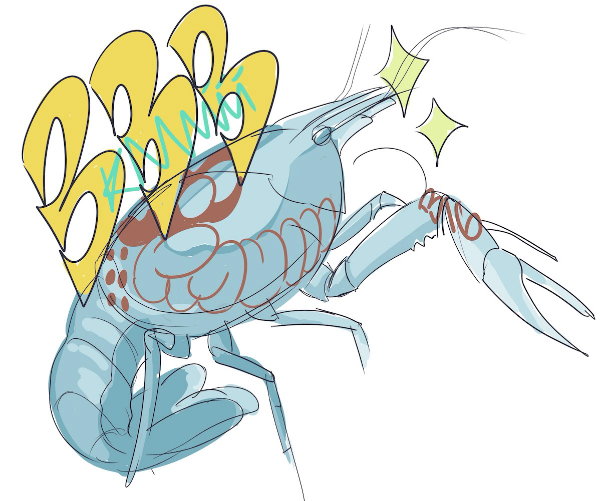 KMUIII Crayfish Illustration