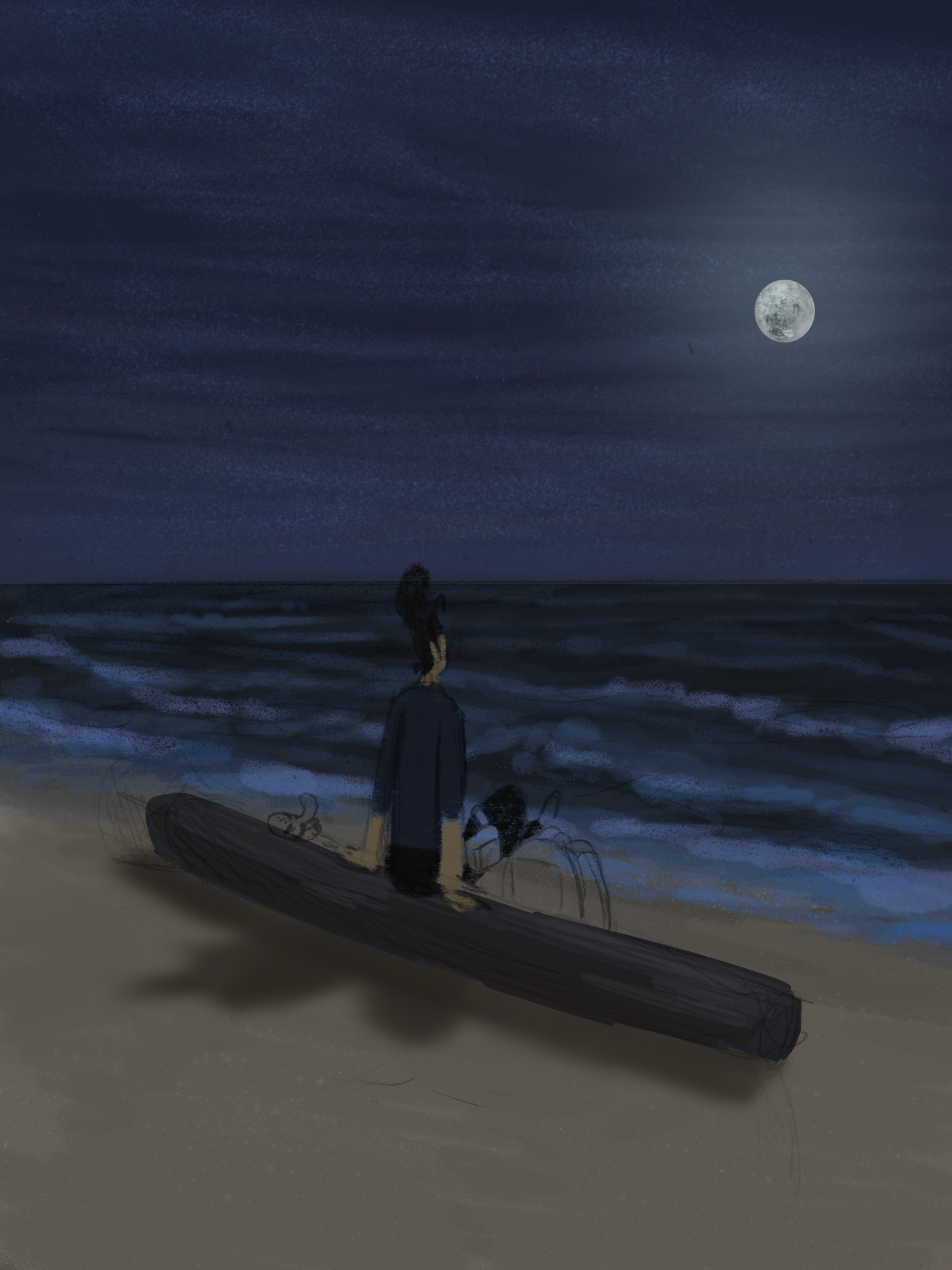 Charleston Beach Study