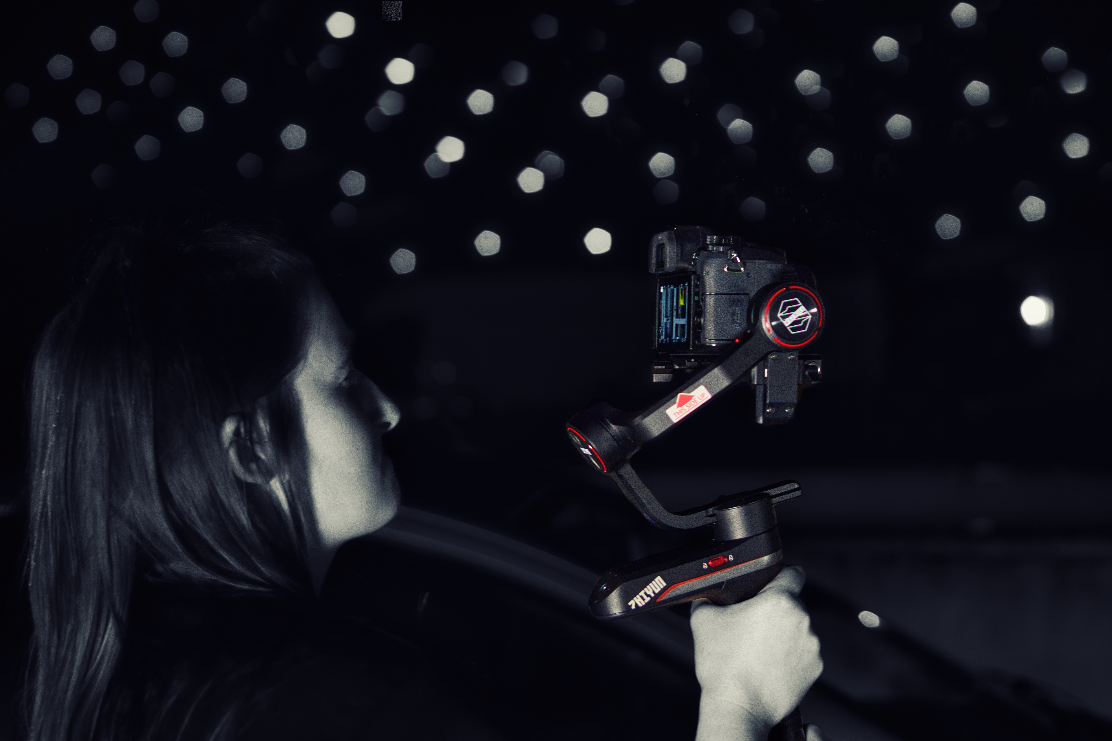 Gimbal work for Family Painting