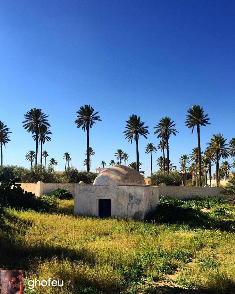 One more shade : immersive green of #palms ornamenting the #island, here and there, standing for centuries and millenniums around cherished #Tunisia's Djerba, a shot by "Ghofeu".. Brightful day!