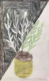 DYLAN LYONS_PLANT