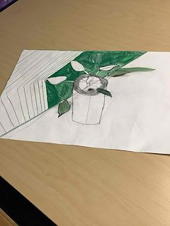 GAVIN SALNAJS_PLANT