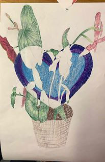 LOLA GOULD_POSITIVE AND NEGATIVE PLANT