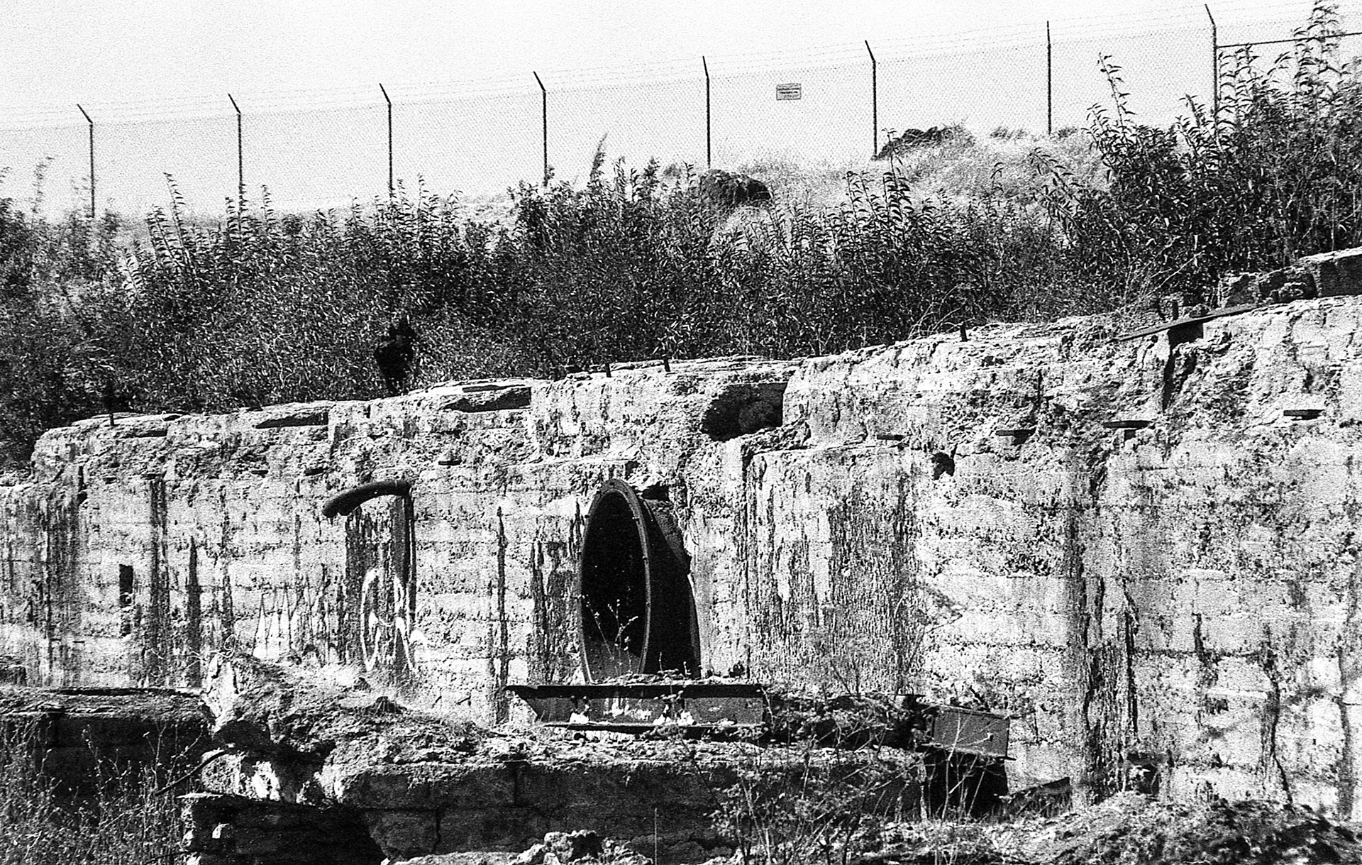 EPSON scanner image