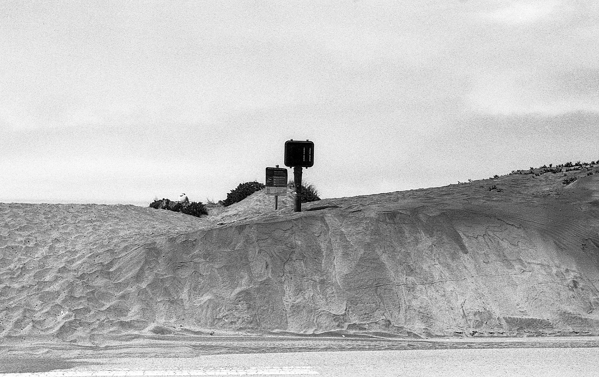 EPSON scanner image