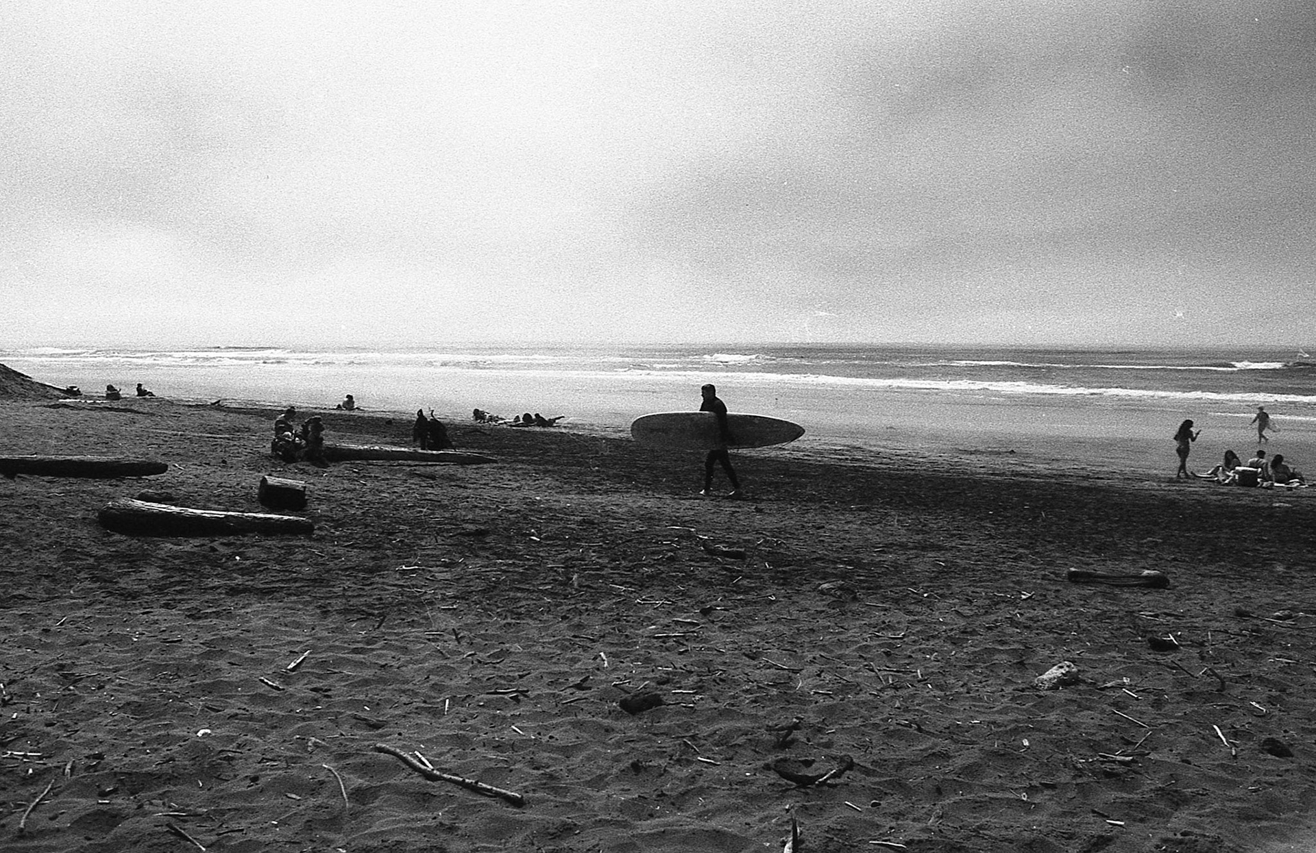 EPSON scanner image