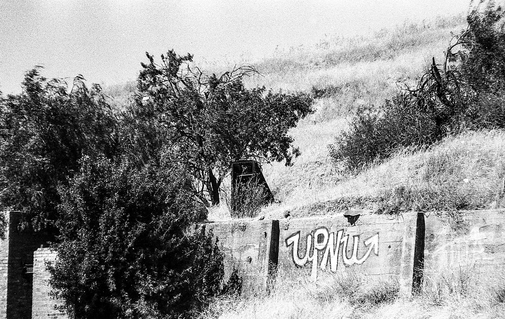 EPSON scanner image
