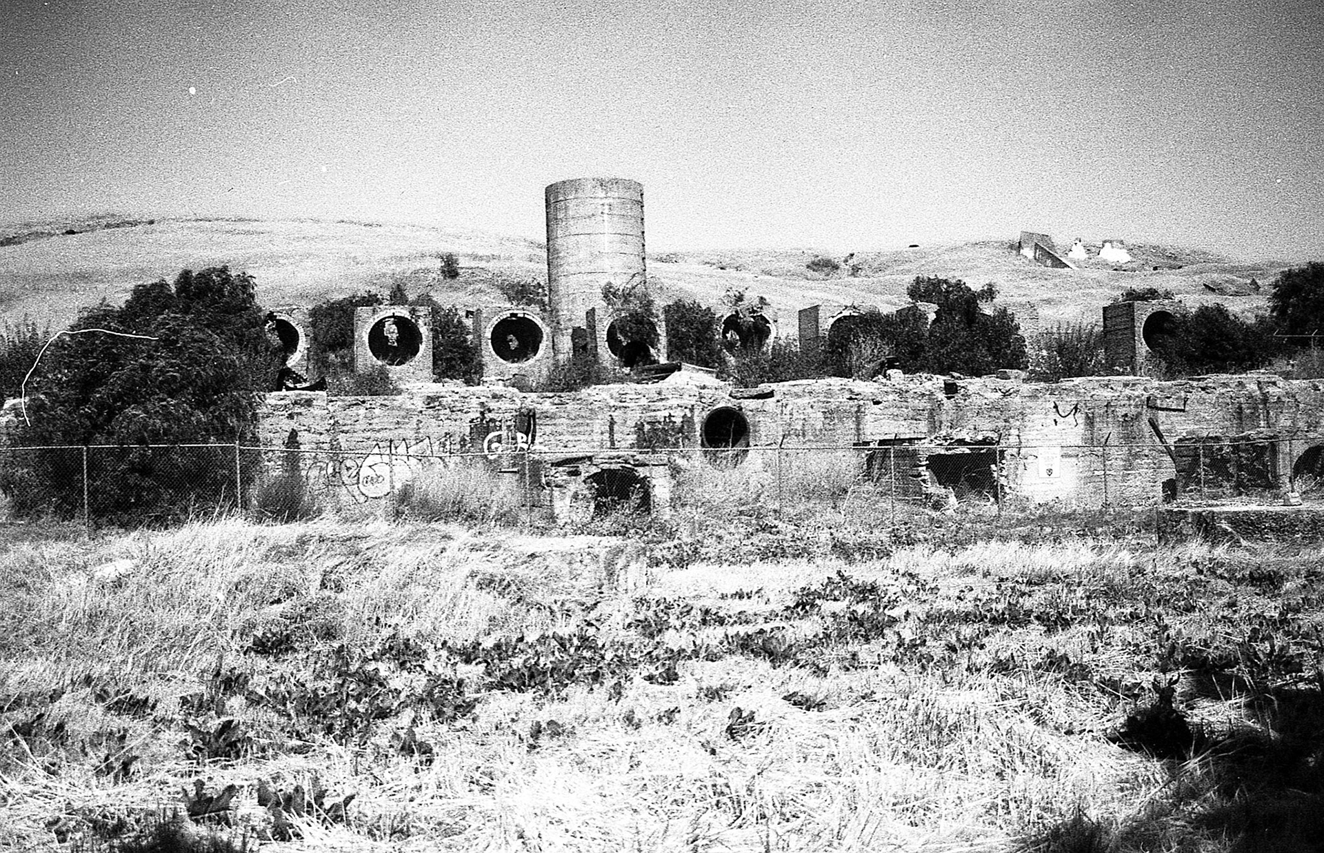 EPSON scanner image