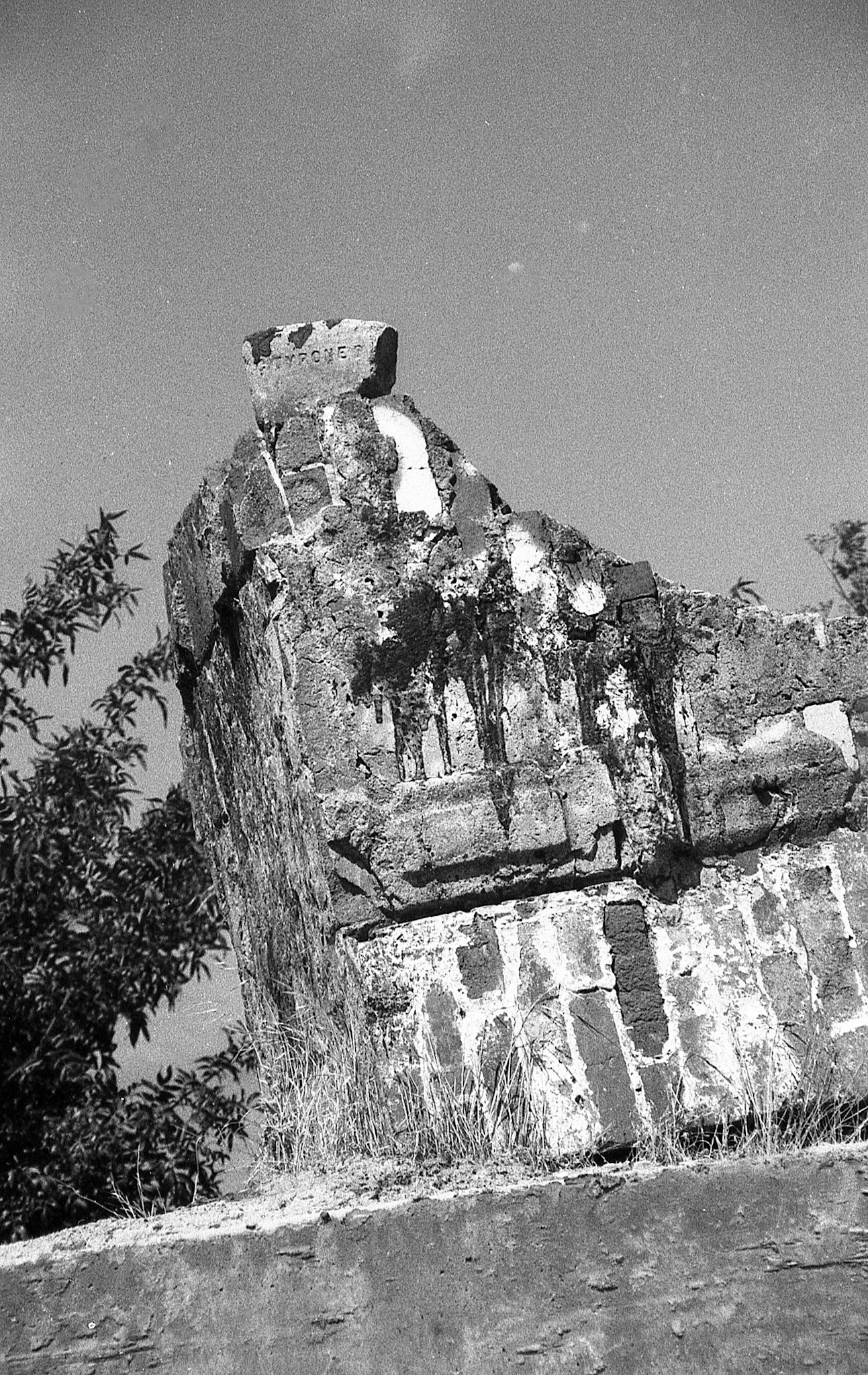 EPSON scanner image