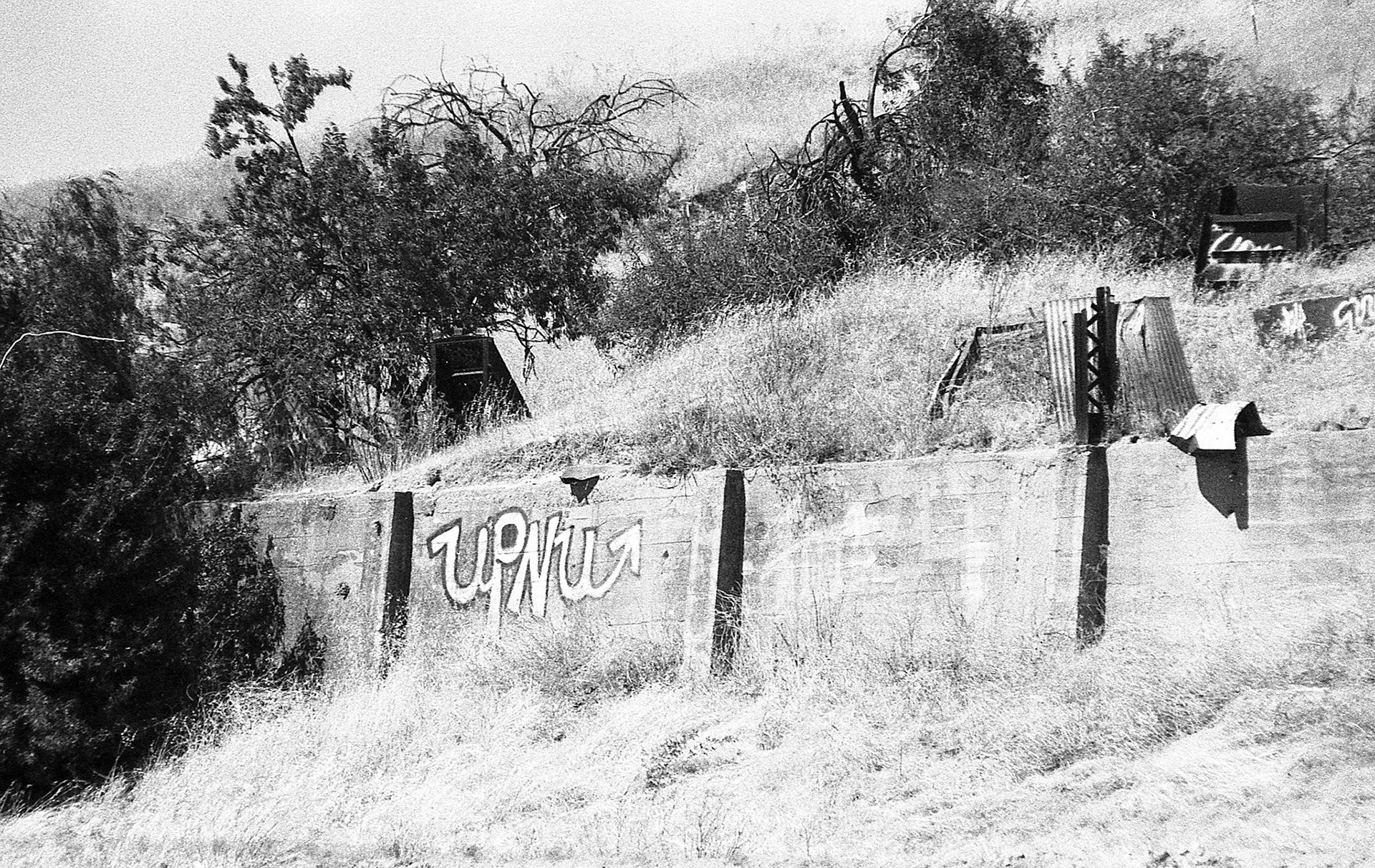 EPSON scanner image