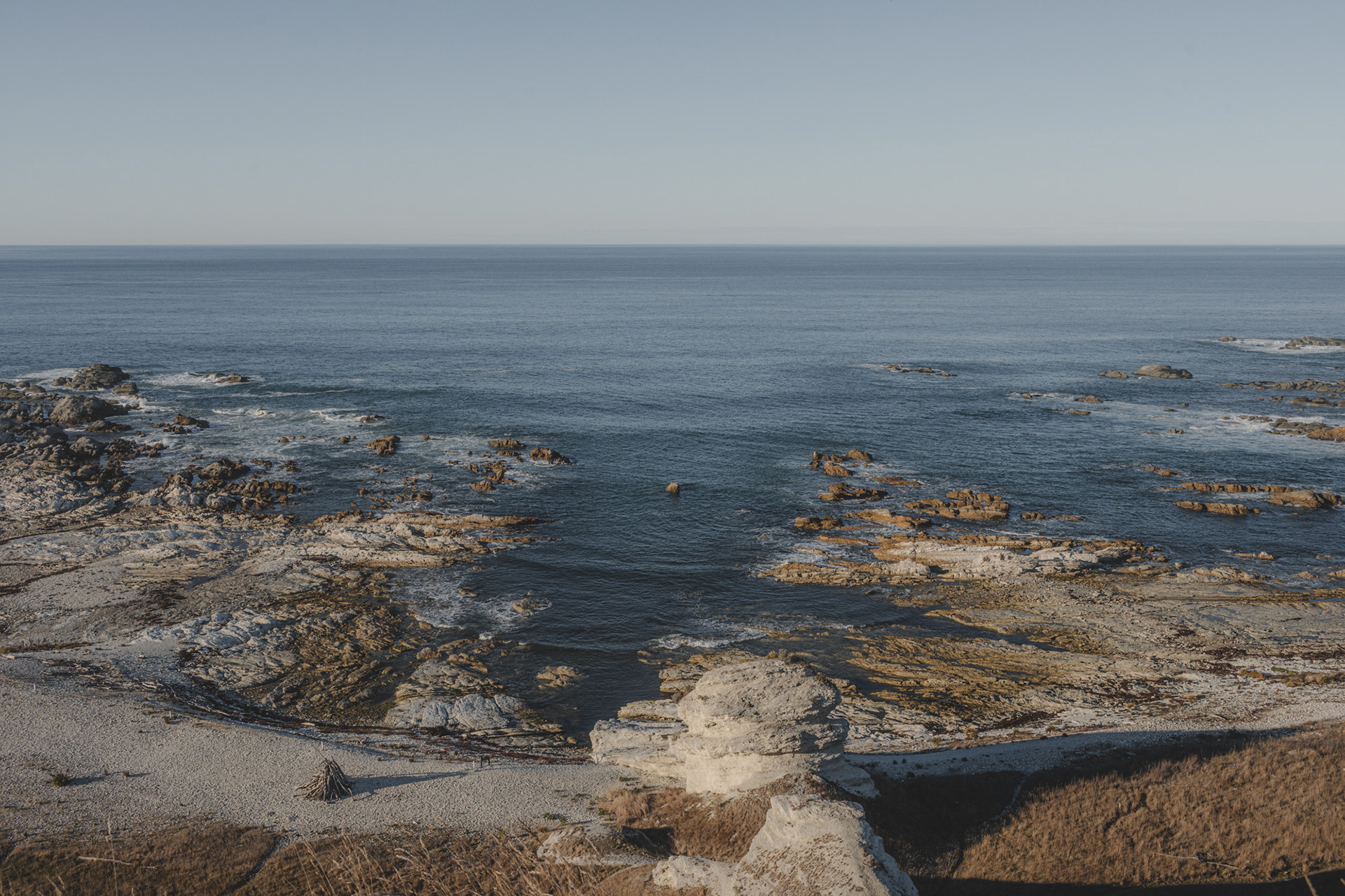 Looking down on the seal colony along the Kaikoura Peninsula walkway
