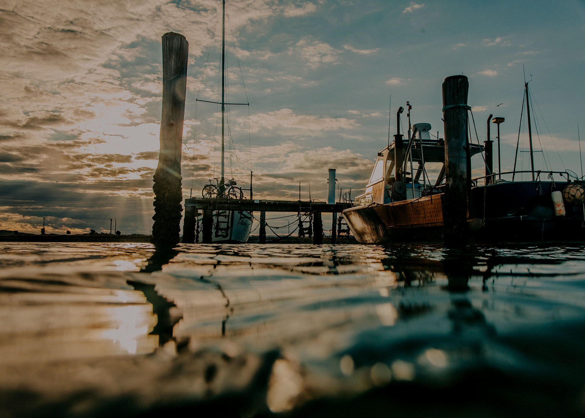 Water view of boats moored in Napier's marina