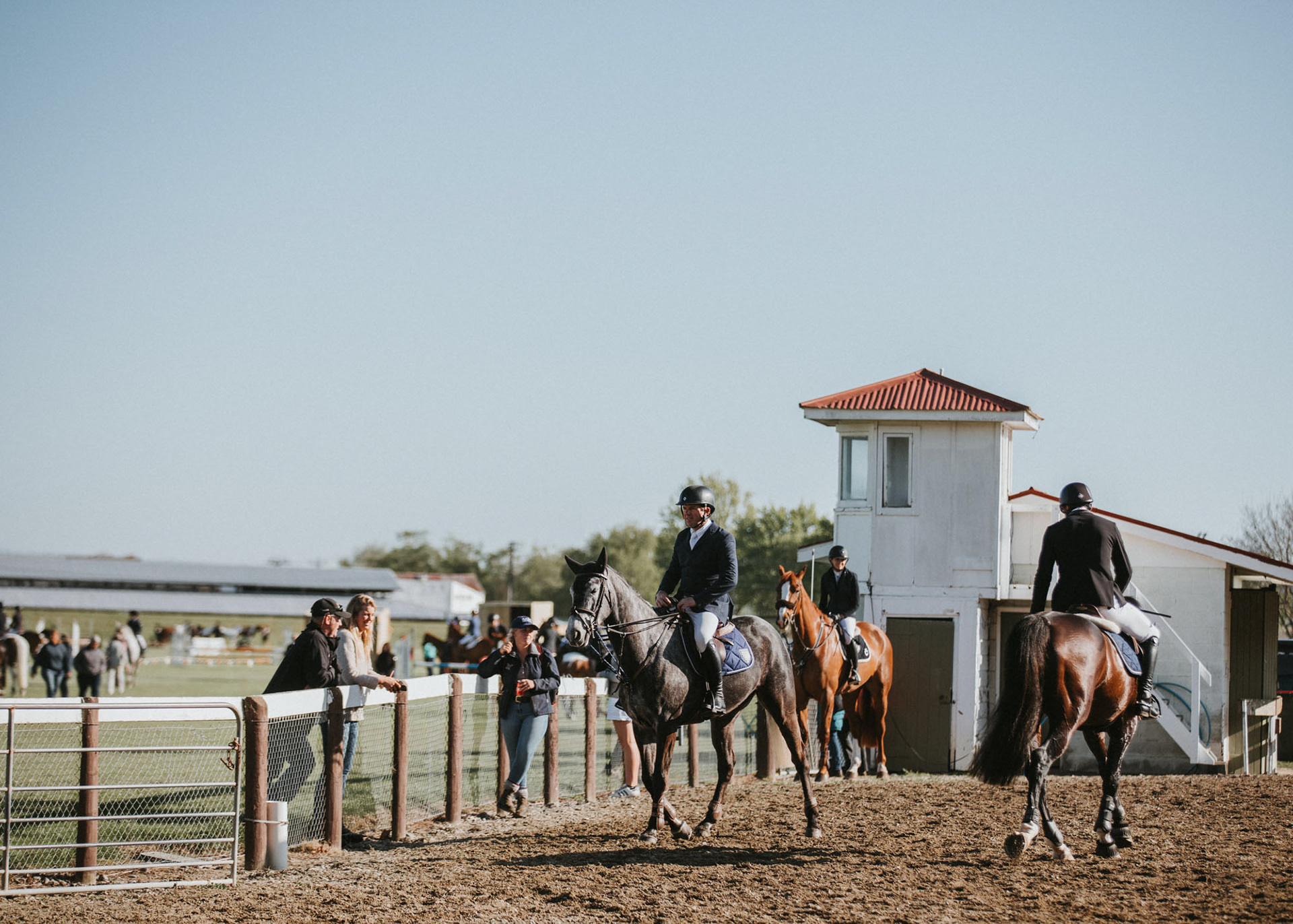 Horse and riders warming up at the Hawke's Bay A&P Royal Show, early morning