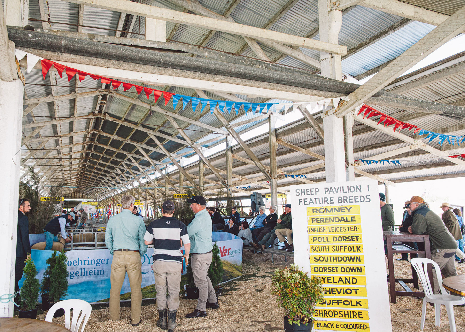 Farmers gather at the sheep pavilion