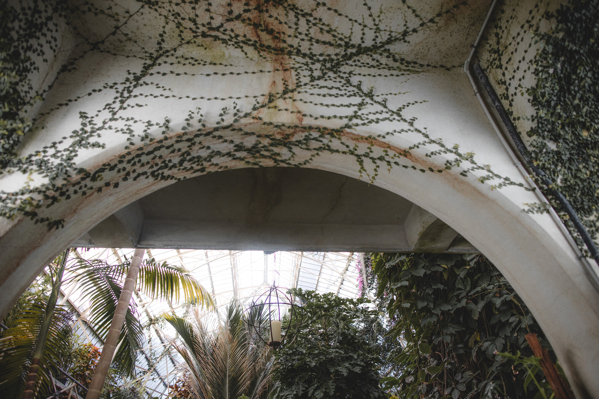 Architecture and creepers in the Cuningham House conservatory in Christchurch's Botanic Gardens