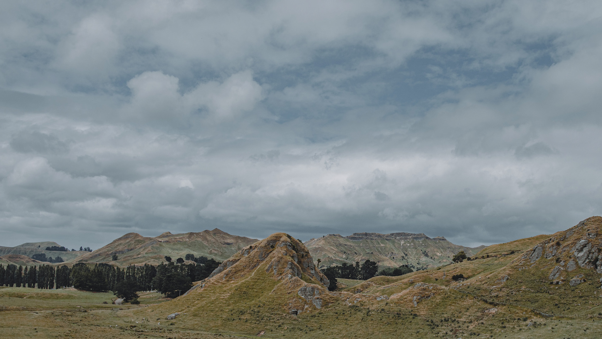 The farmland limestone hills and ridges near Hawke's Bay's Shine Falls walk