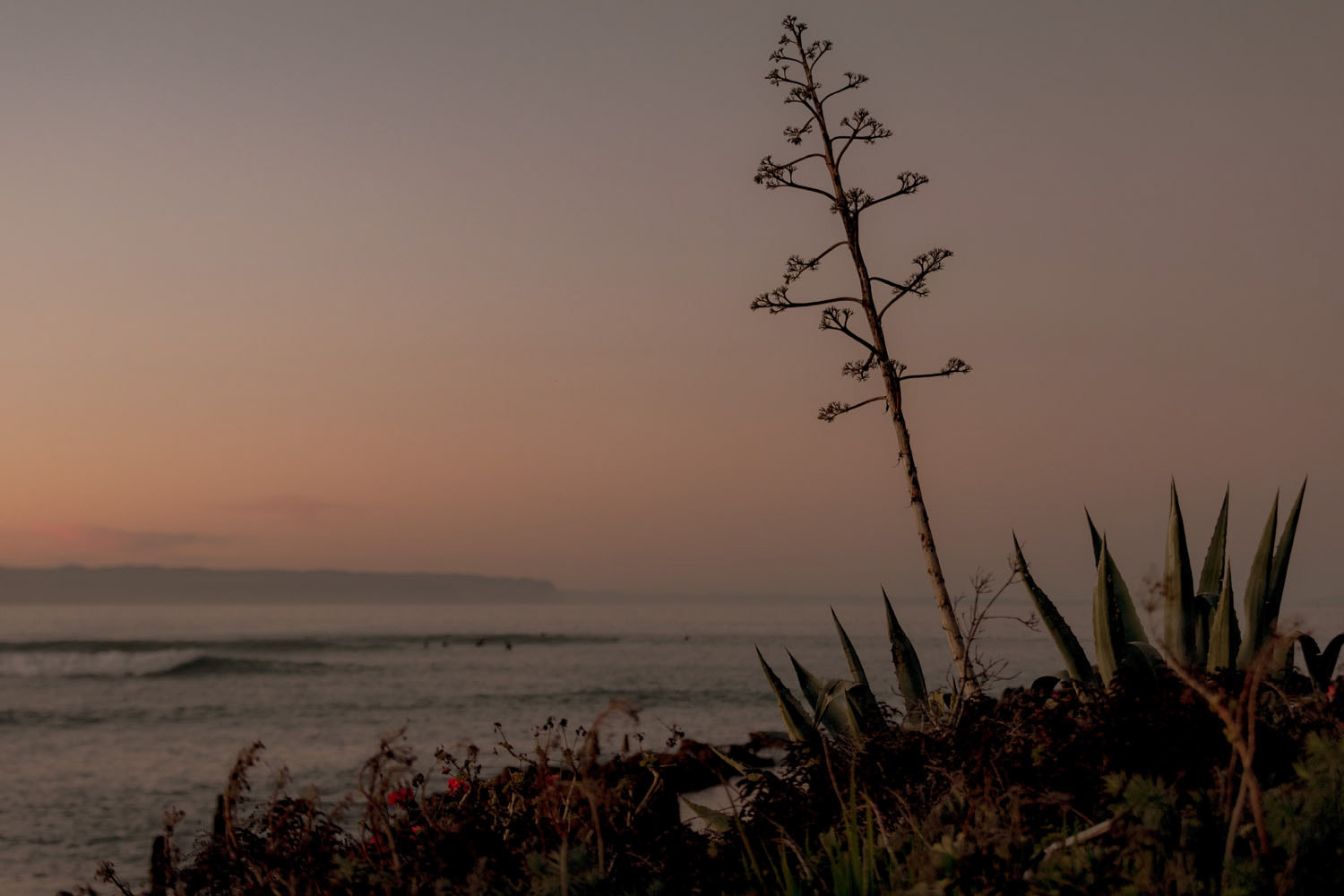 Perfume Point, Napier