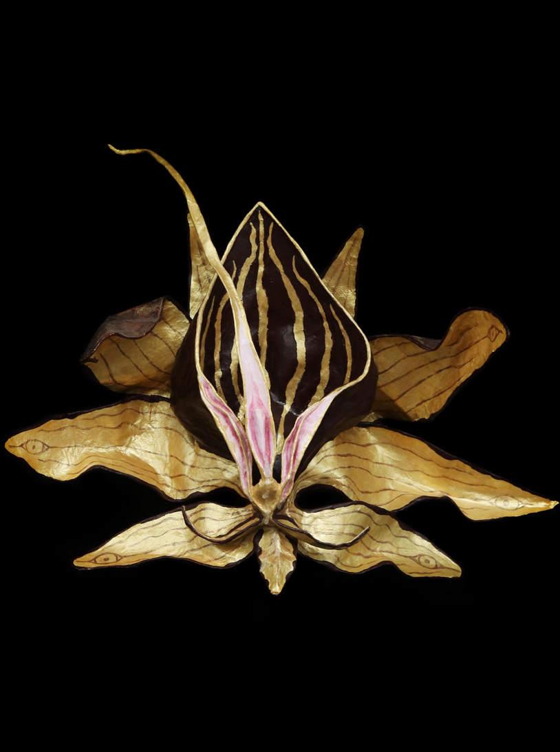 Arisaema (2020) - Paper, wheat paste, mineral pigments, acrylic medium (17"x15")