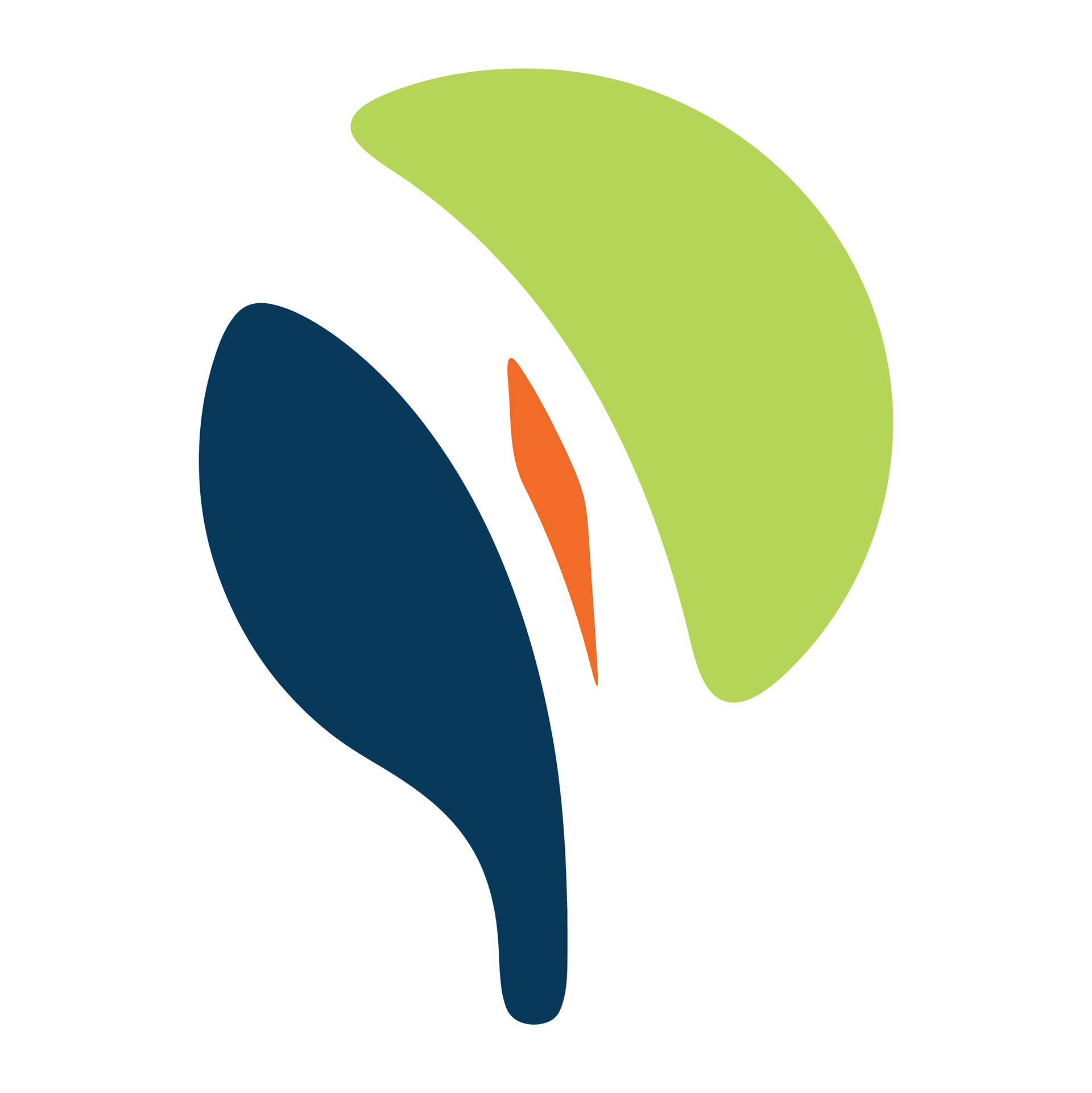 Color (Logo Only)