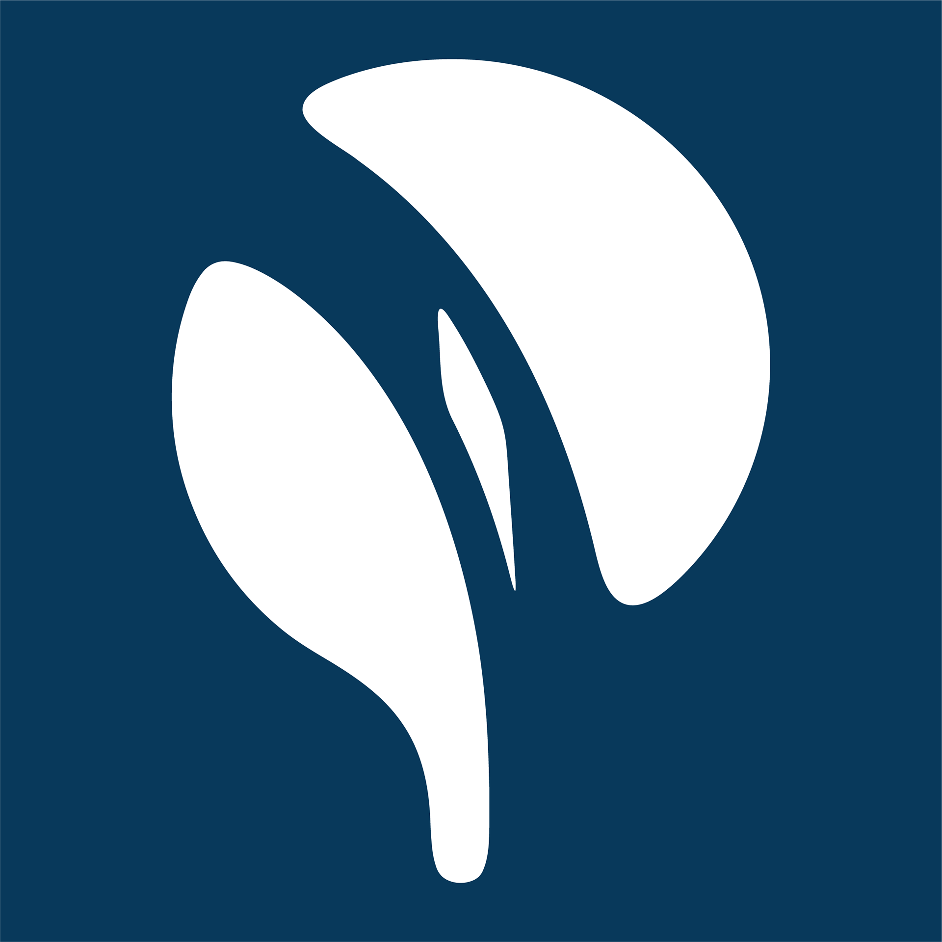 Monochrome (Logo Only)