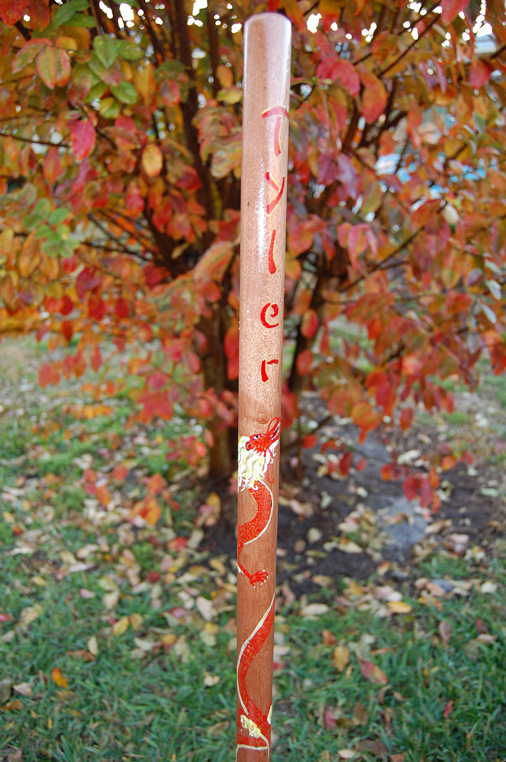 Red dragon painted onto martial arts staff for a client.
