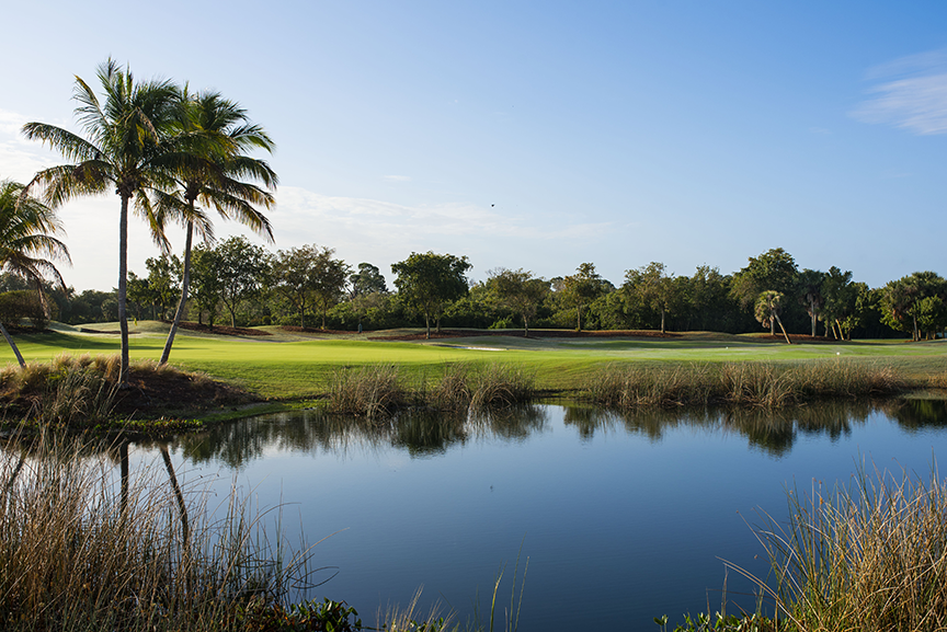Golf Course BEFORE