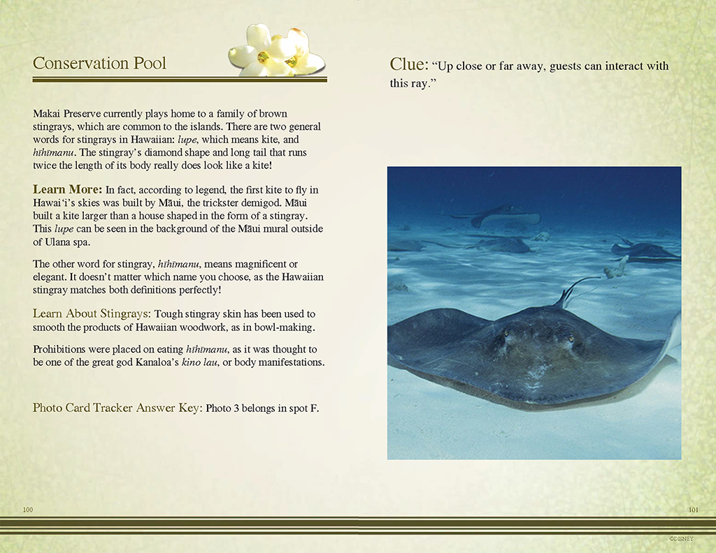 Informational pages.