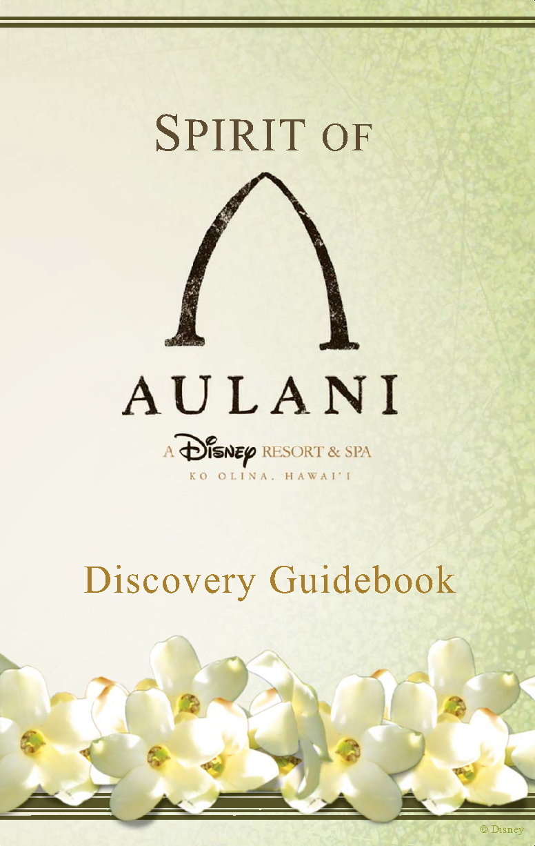 Guidebook cover of 200+ page workbook