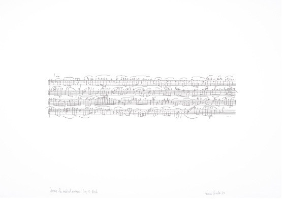 Franco Prinsloo / “#Music_for_isolated_musicians” Day 15: Piccolo / 42cm(h) x 59.3cm(w) / archival ink drawing on Fabriano 250gms / 2023