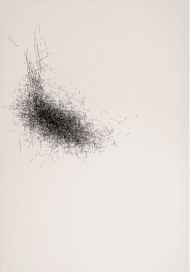 Sonya Rademeyer / "sonic nest" 70cm(h) x 50 cm(w) / pen drawing on Artistico Fabriano 300gms / 2020 – 2023