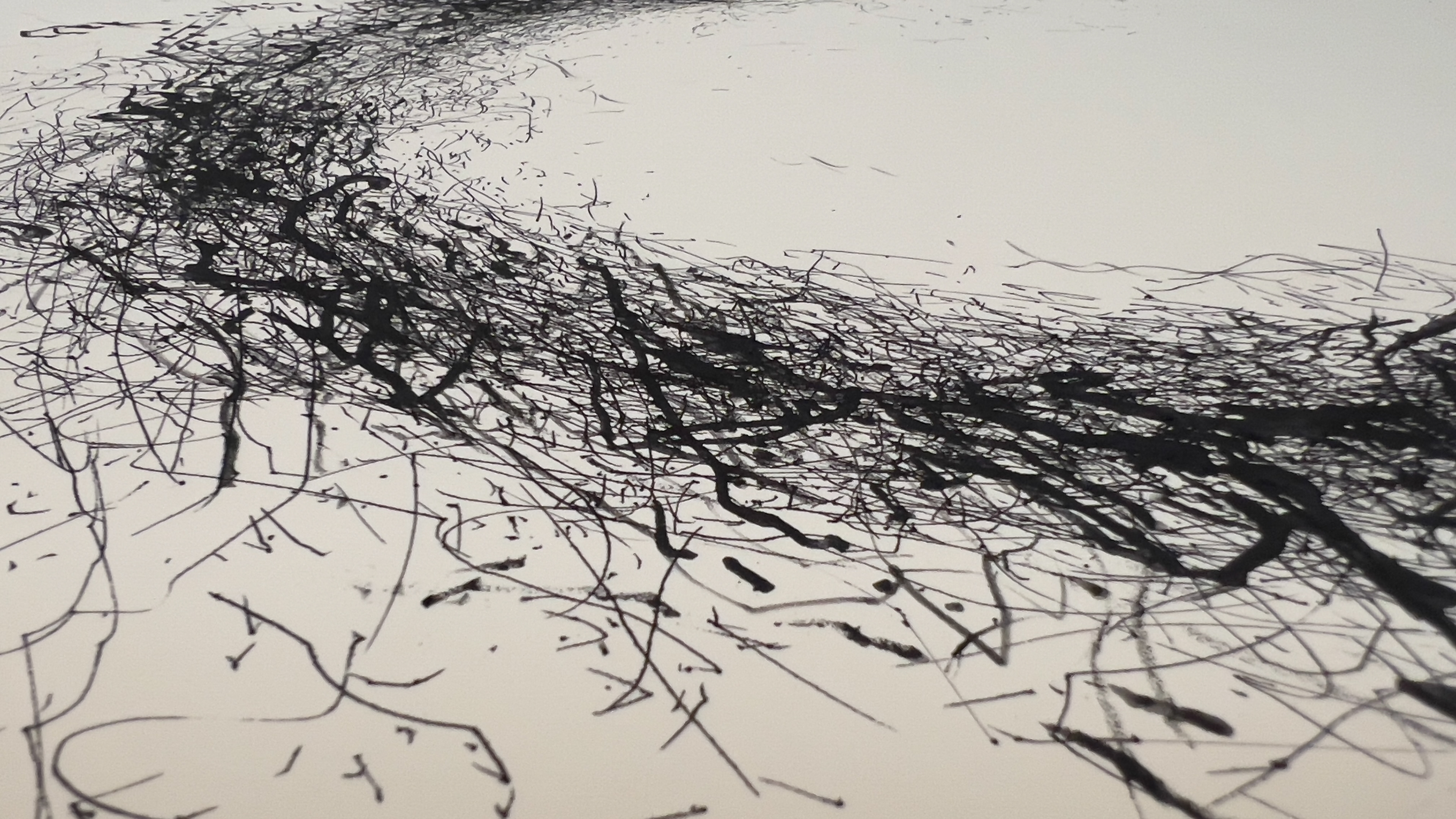 gestural drawing (detail) by Sonya Rademeyer