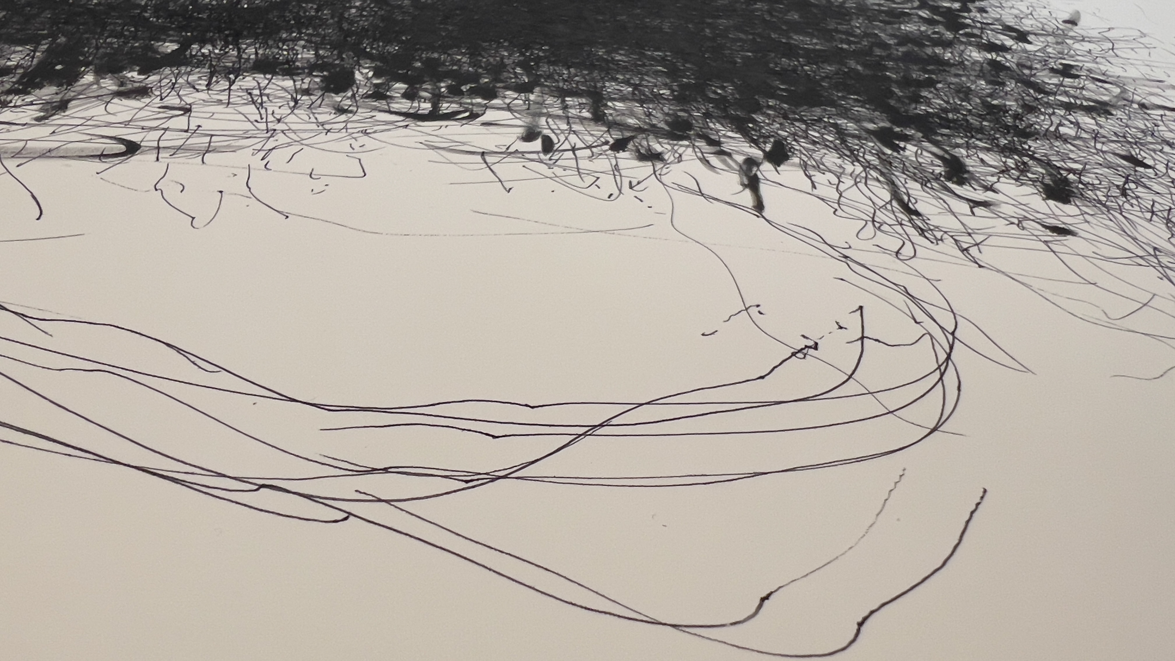 gestural drawing (detail) by Sonya Rademeyer