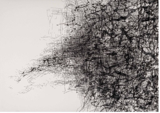 Sonya Rademeyer / "seemingly sonic " / 70cm(h) x 50 cm(w) / pen drawing on Artistico Fabriano 300gms / 2020 – 2023