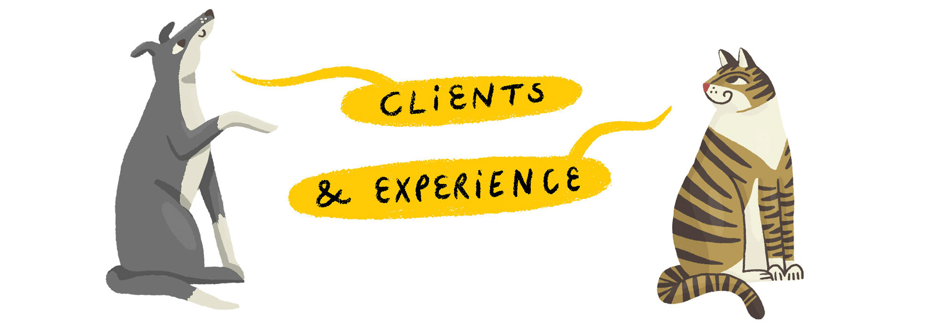 Clients and Experience