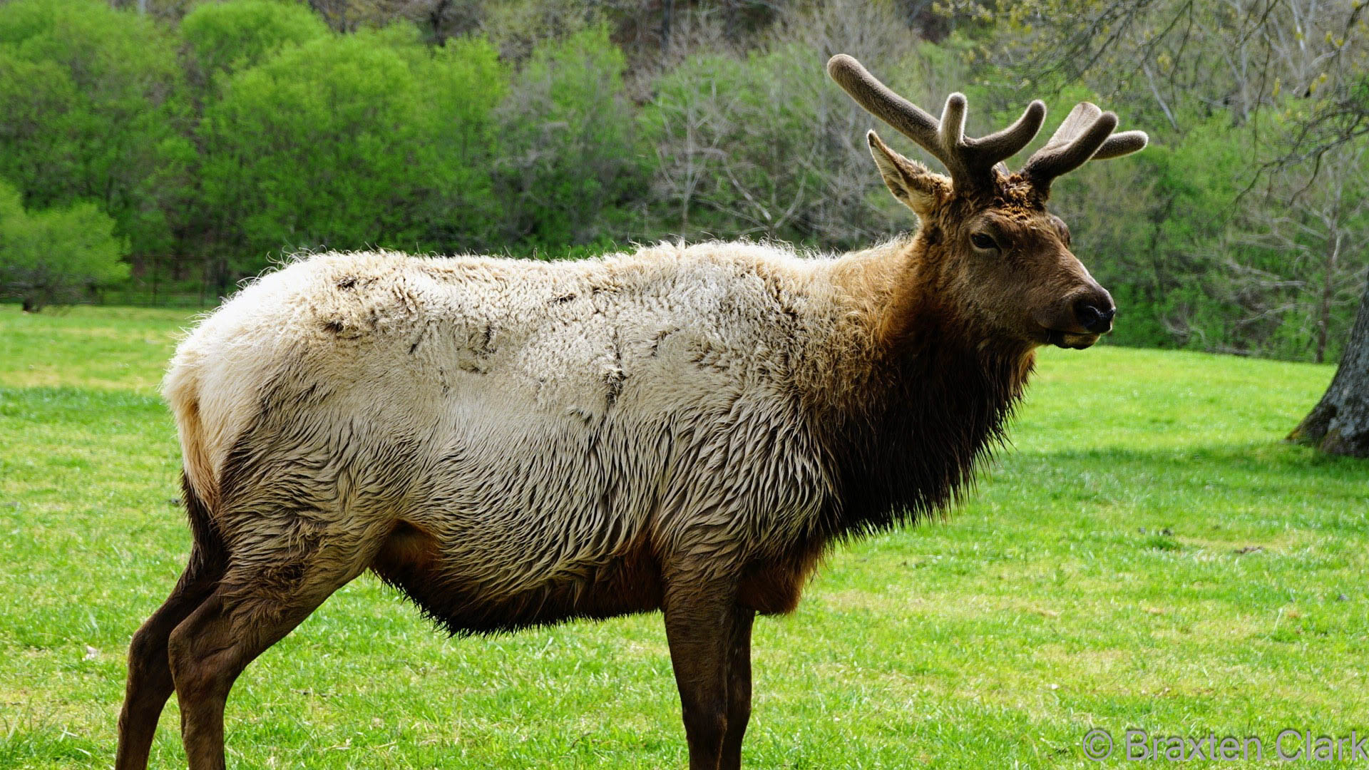 Posing for the camera