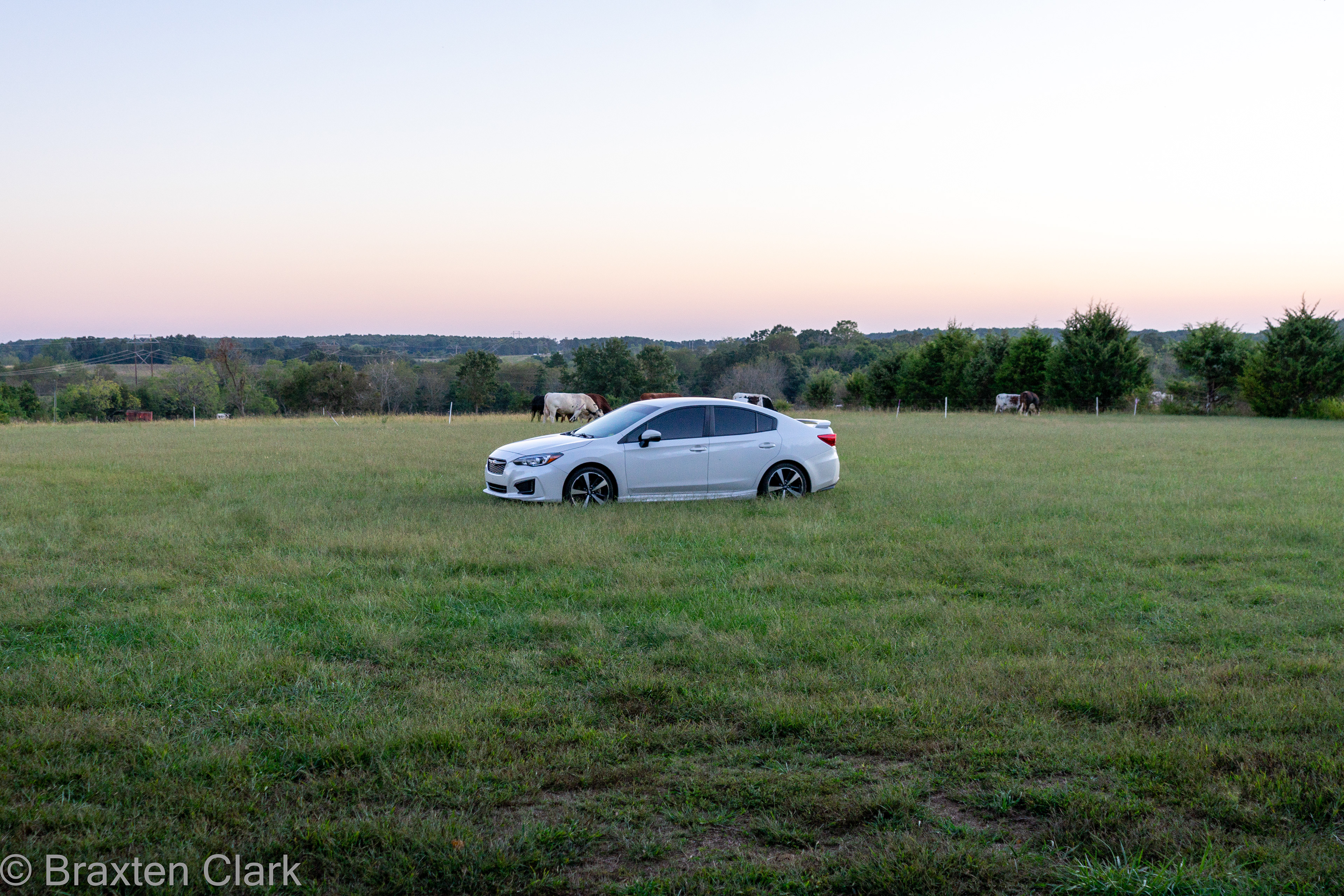 My car in the pasture