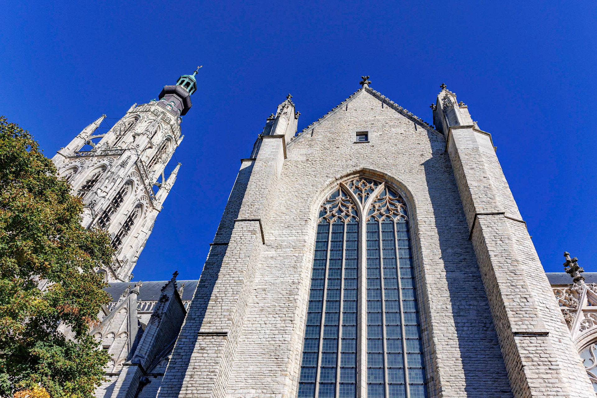 Ook perfect voor haarscherpe architectuur!
